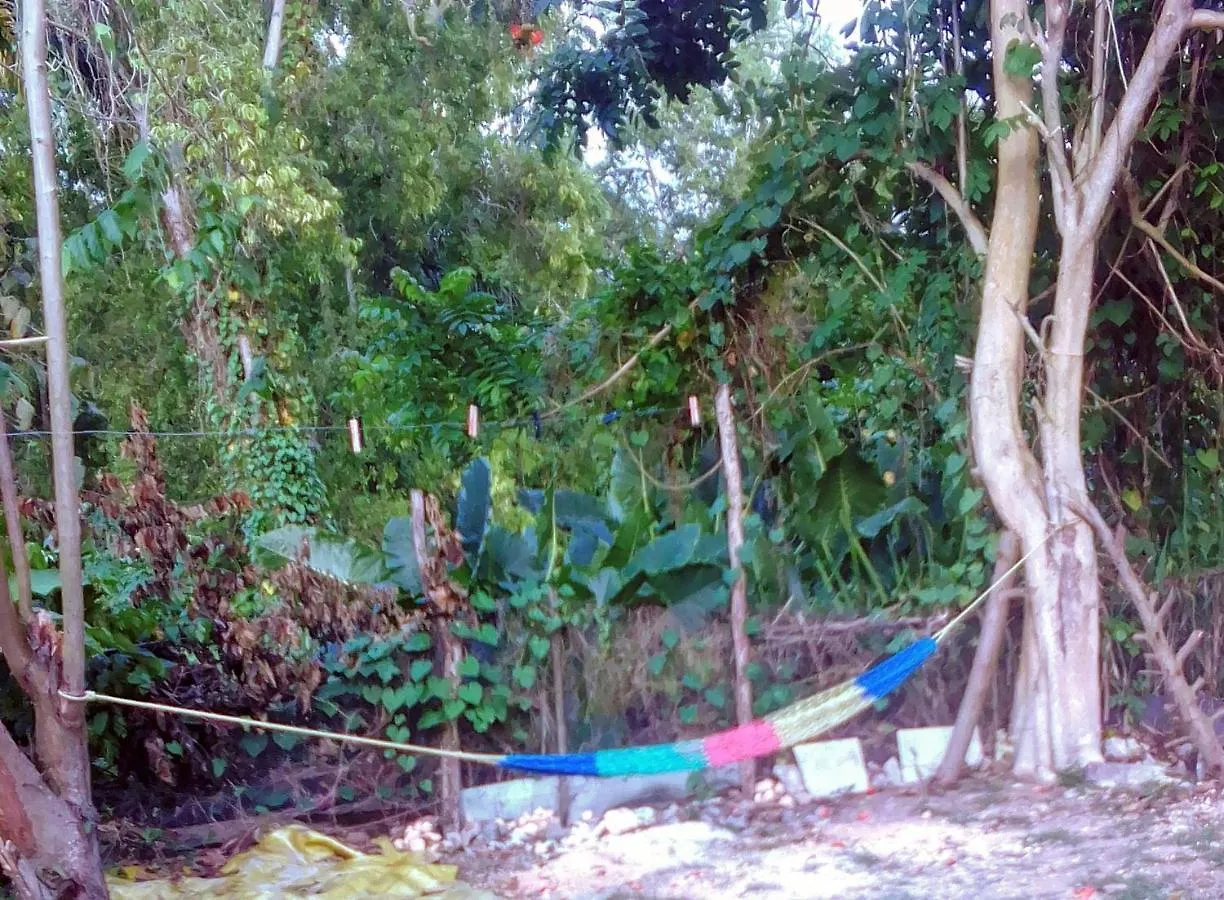 度假居 My Little Cabin In Negril, Cabin
