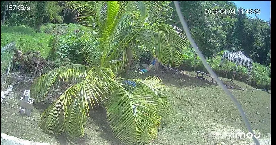 My Little Cabin In Negril, Cabin Jamaica